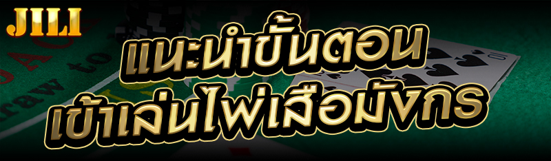 แนะนำขั้นตอนเข้าเล่นไพ่เสือมังกร