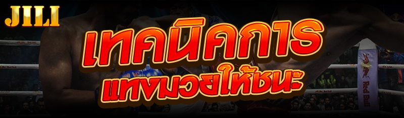 เทคนิคการแทงมวยให้ชนะ